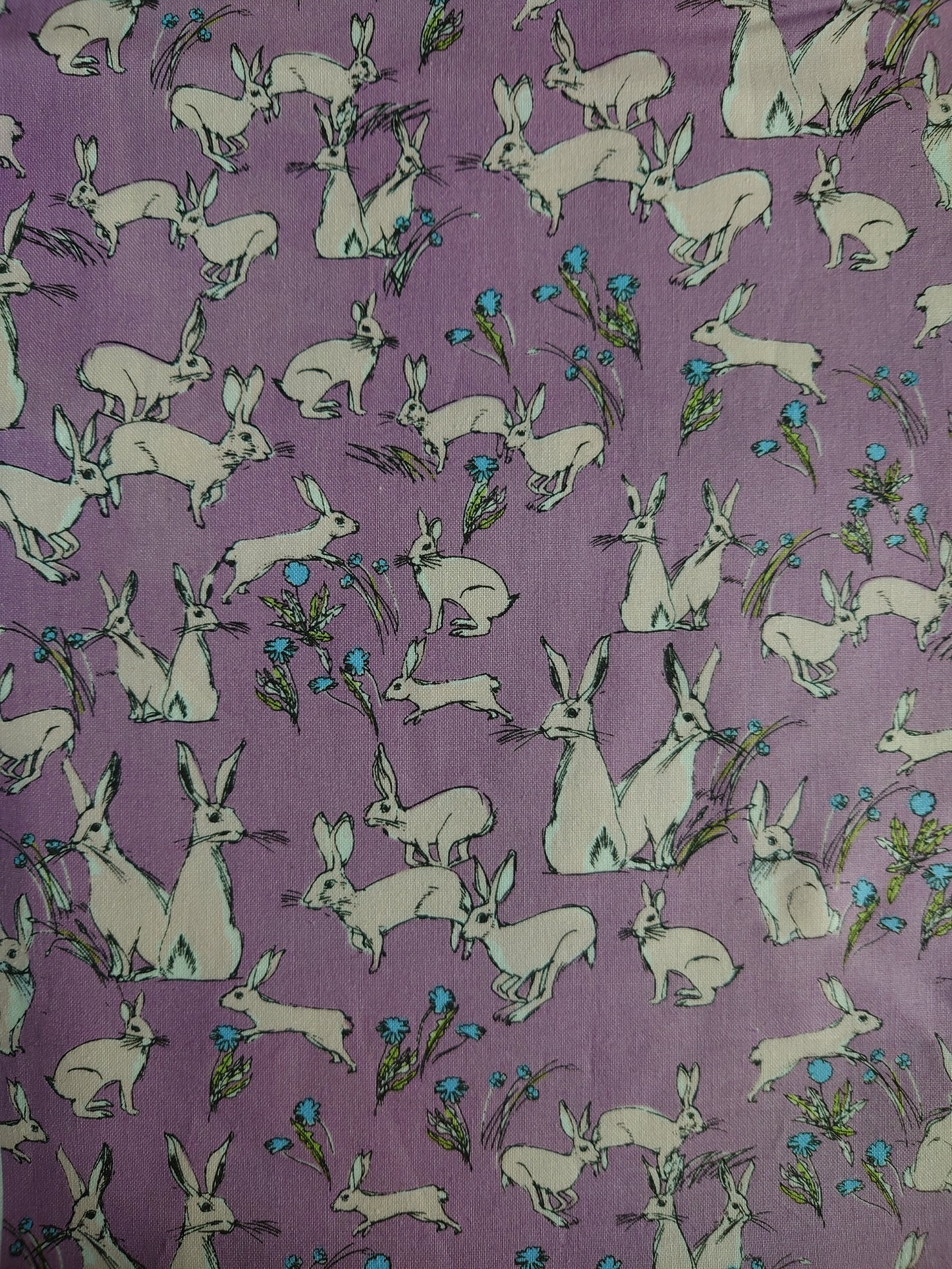 Rabbit 100% Cotton