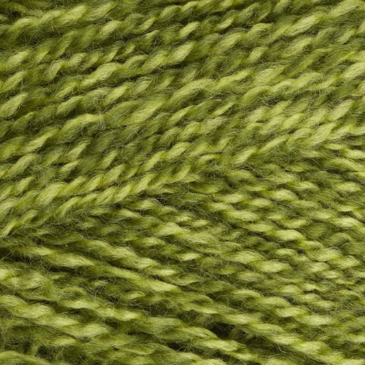 Special DK Yarn -Greengage 1124