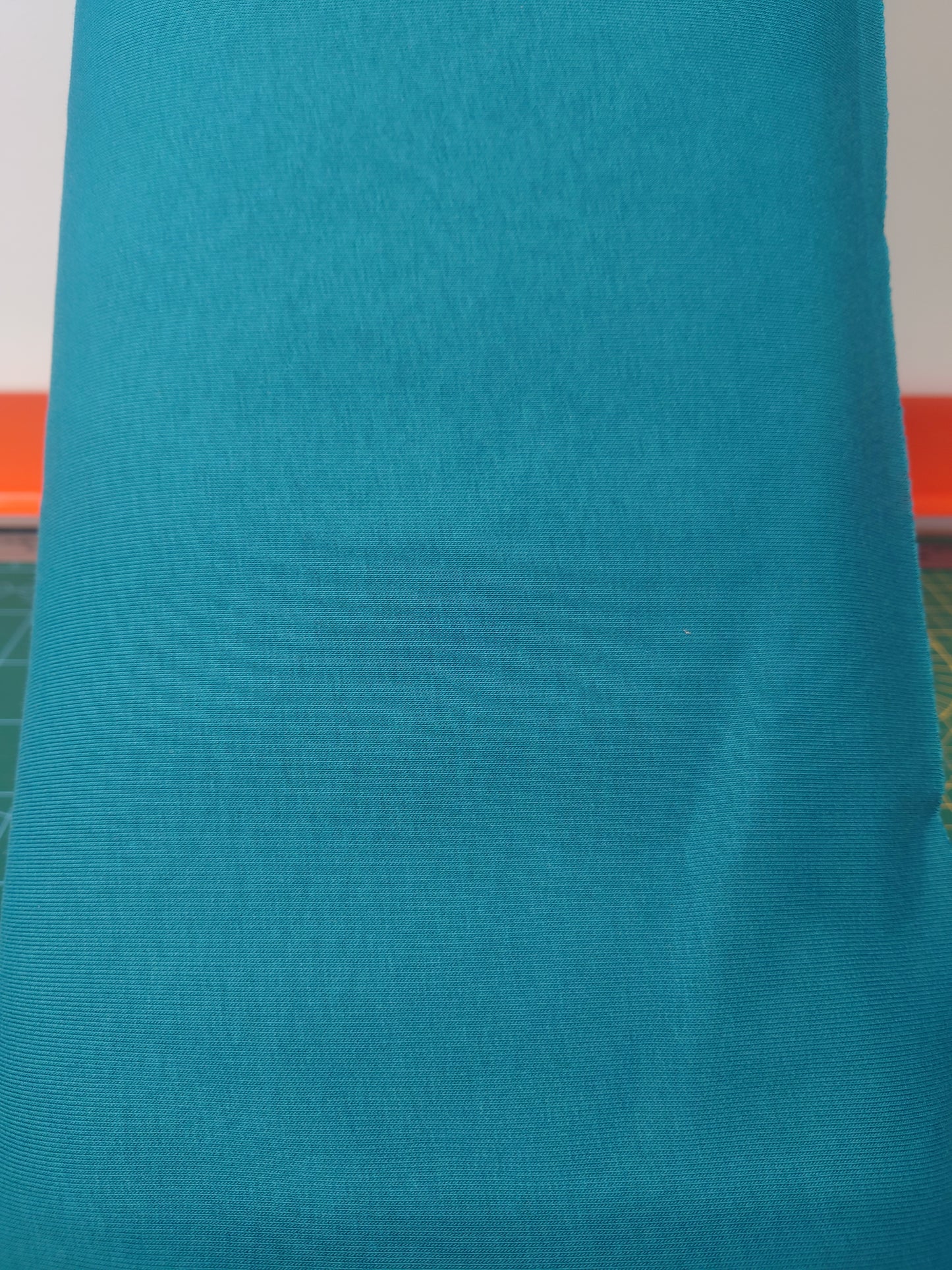 Teal Sweatshirting / sweatshirt