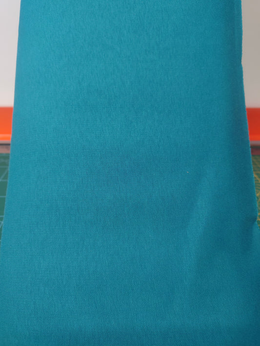 Teal Sweatshirting / sweatshirt