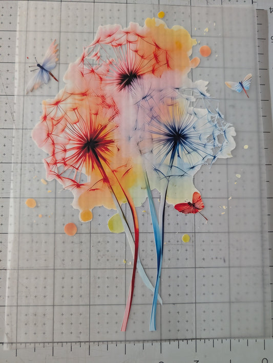 Iron on transfer - dandelion 7" x 10"